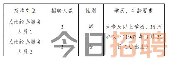 永靖县统计局最新招聘概览