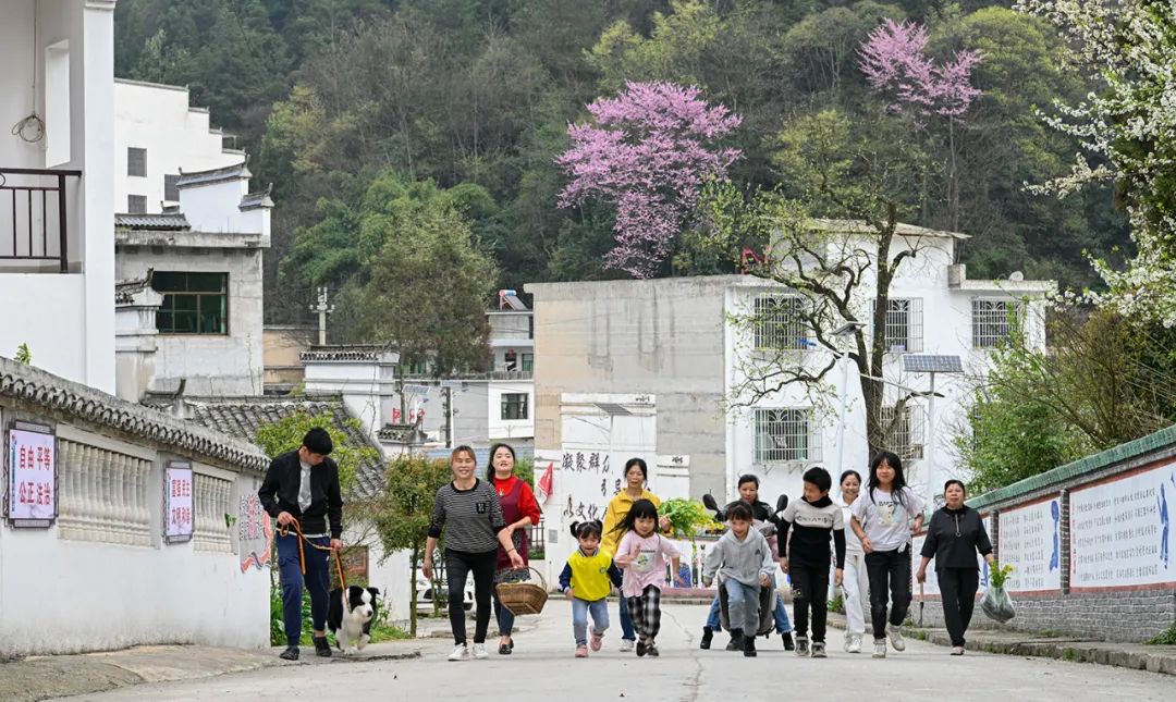 观音村委会最新动态报道