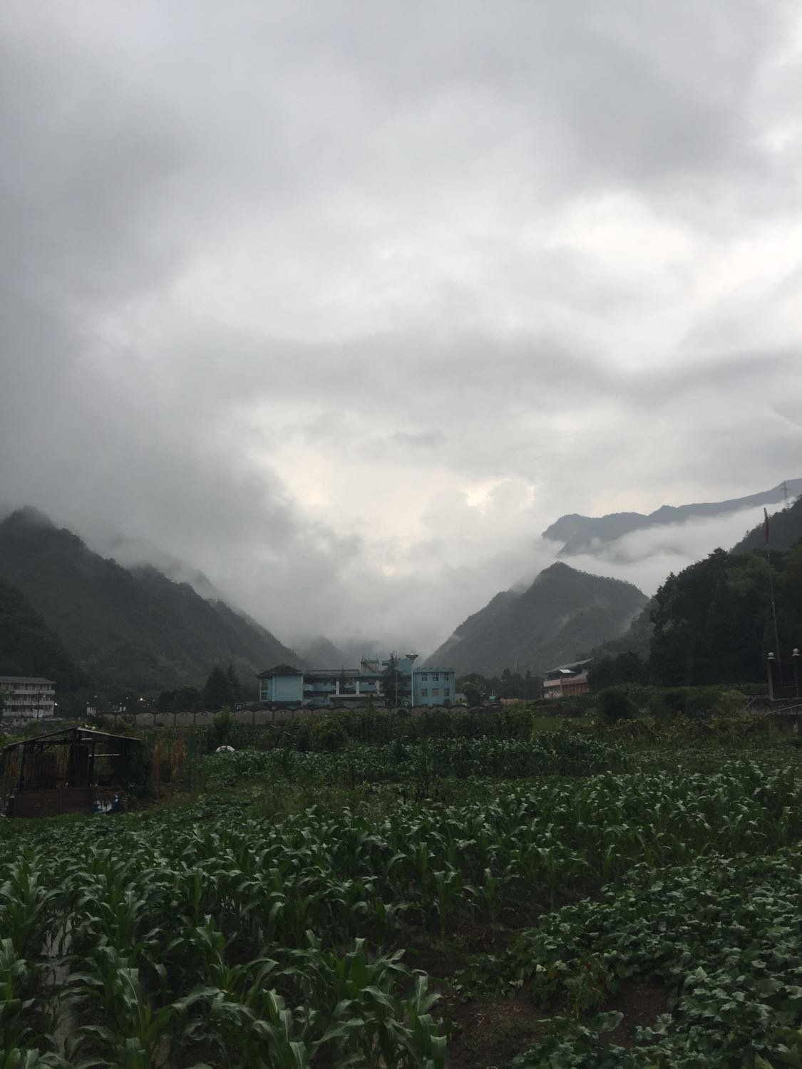 雅则村天气预报更新通知