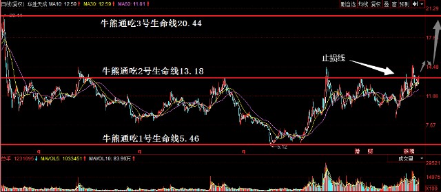 最准一码一肖100%凤凰网,最新答案解释落实_3DM36.30.79