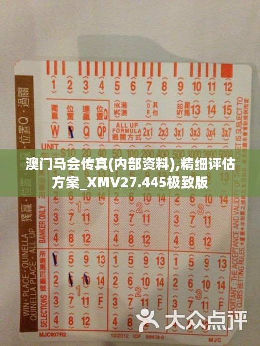 香港正版马会传真绝密信封,适用设计解析_SE版68.286