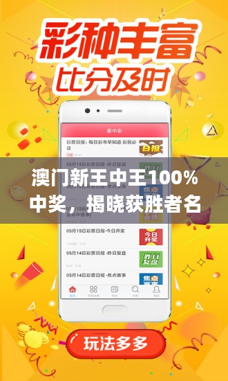 澳门王中王100%期期中,适用实施计划_限量版52.840