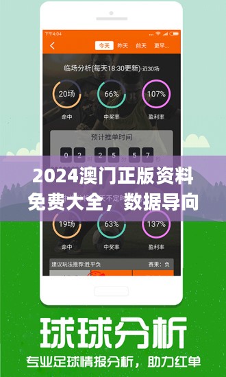 澳门正版资料,综合数据解析说明_AP88.604