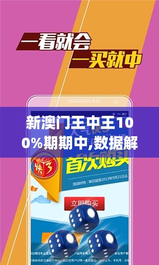 澳门王中王100%期期中,全面数据执行方案_suite37.956