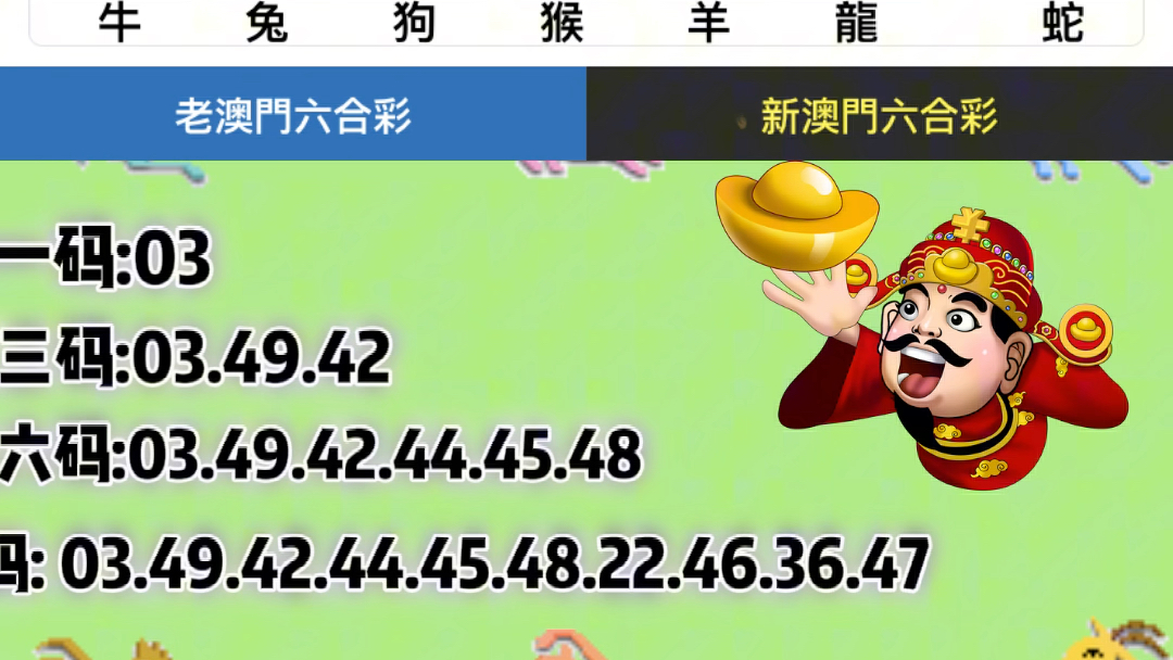 新澳门六开奖号码记录33期,精细设计计划_豪华版95.602