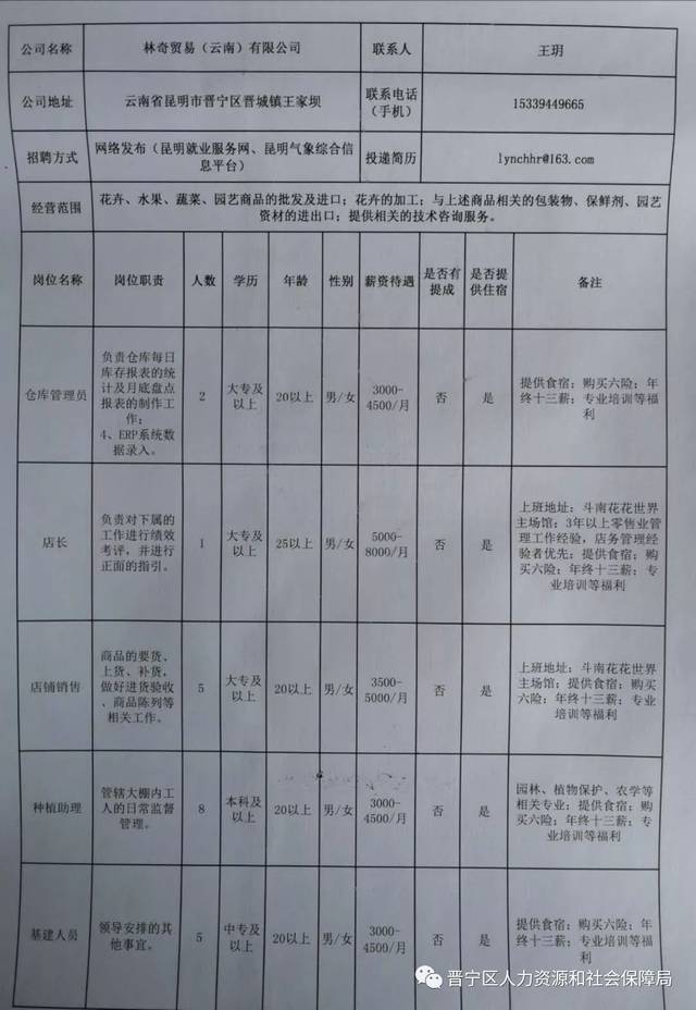 罗平县教育局最新招聘概览发布